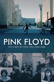 Pink Floyd: The Story of Wish You Were Here