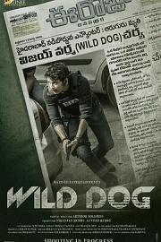 Wild Dog