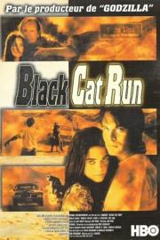 Black Cat Run