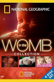 In the Womb