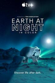 Earth at Night in Color