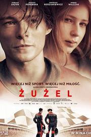 Zuzel