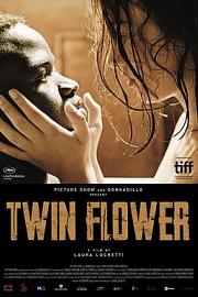 Twin Flower