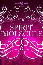 DMT: The Spirit Molecule