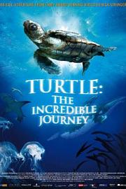Turtle: The Incredible Journey