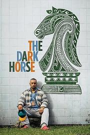 The Dark Horse