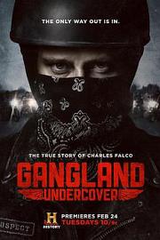 Gangland Undercover