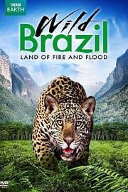 Wild Brazil