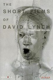 The Short Films of David Lynch