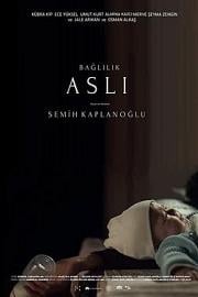 Baglilik Asli