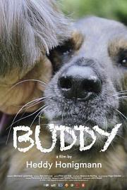 Buddy