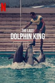 The Last Dolphin King