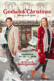 A Godwink Christmas: Miracle of Love