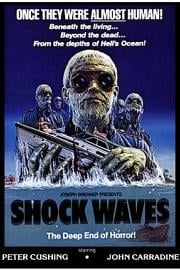 Shock Waves