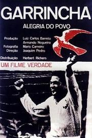 Garrincha - Alegria do Povo