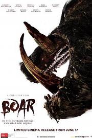 Boar