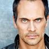 Todd Stashwick