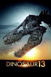 Dinosaur 13