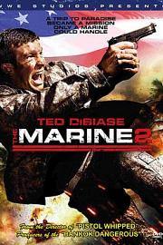 The Marine 2