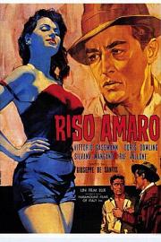 Riso amaro