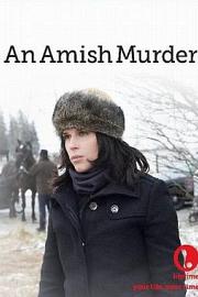 An Amish Murder