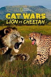 Cat Wars: Lion Vs. Cheetah