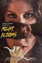 Night Blooms