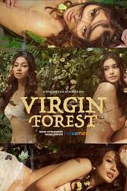 Virgin Forest
