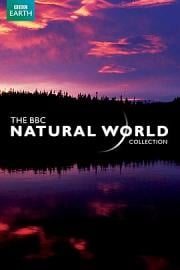 The World Natural Heritage