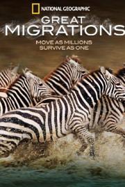 Great Migrations