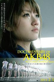 Documentary of AKB48: No Flower Without Rain