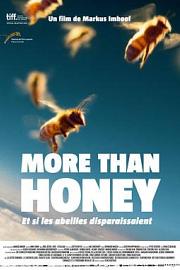 More Than Honey