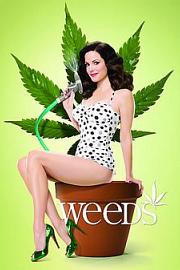 Weeds