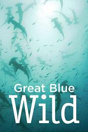 Great Blue Wild