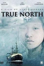 True North