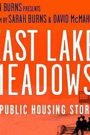 East Lake Meadows: A Public Housing Story