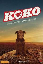 Koko: A Red Dog Story