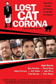 Lost Cat Corona