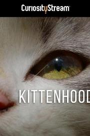 Kittenhood