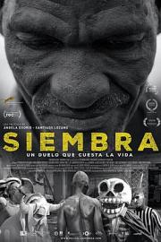 Siembra