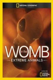 In the Womb: Extreme Animals