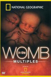 In the Womb: Multiples