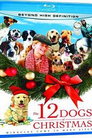 The 12 Dogs of Christmas